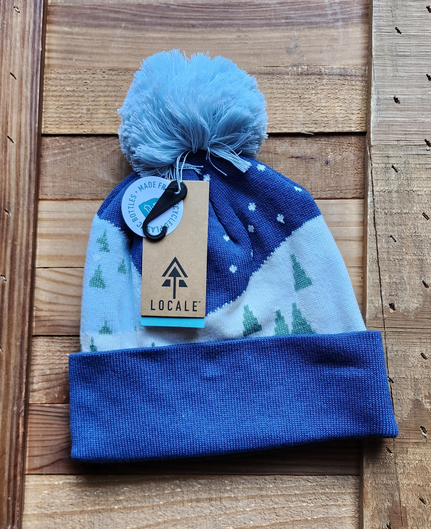 Beanie-Snowy Slopes