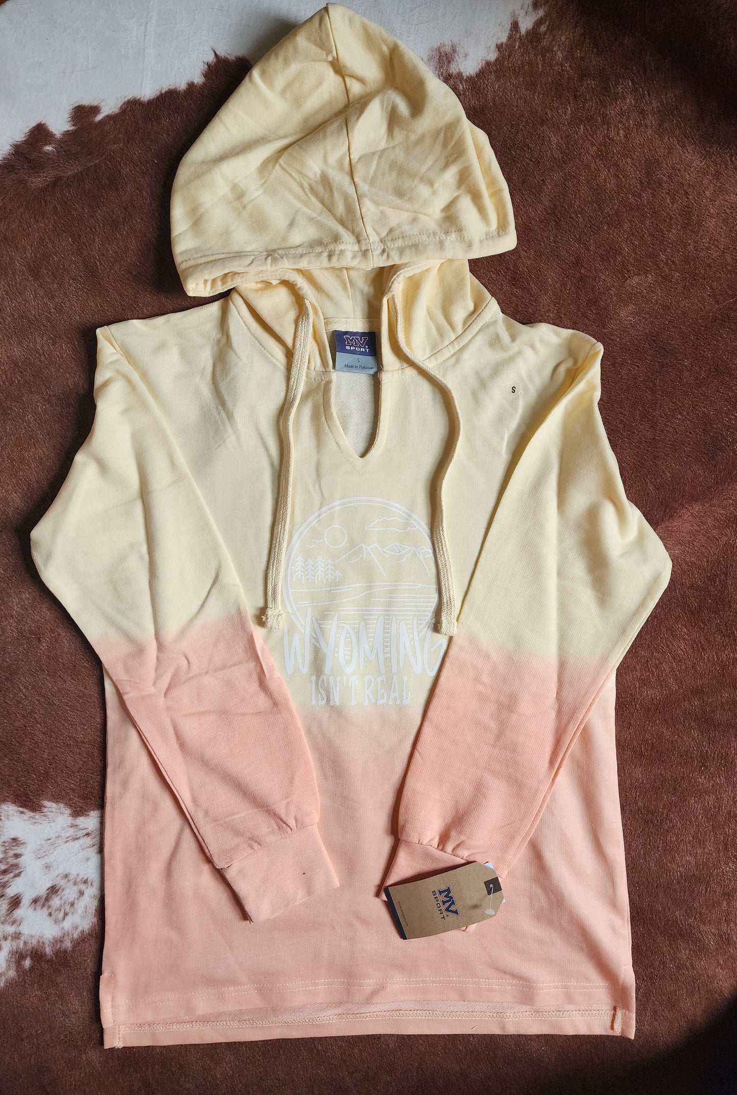 Hooded Sweatshirt-Women's Creamsicle Ombre