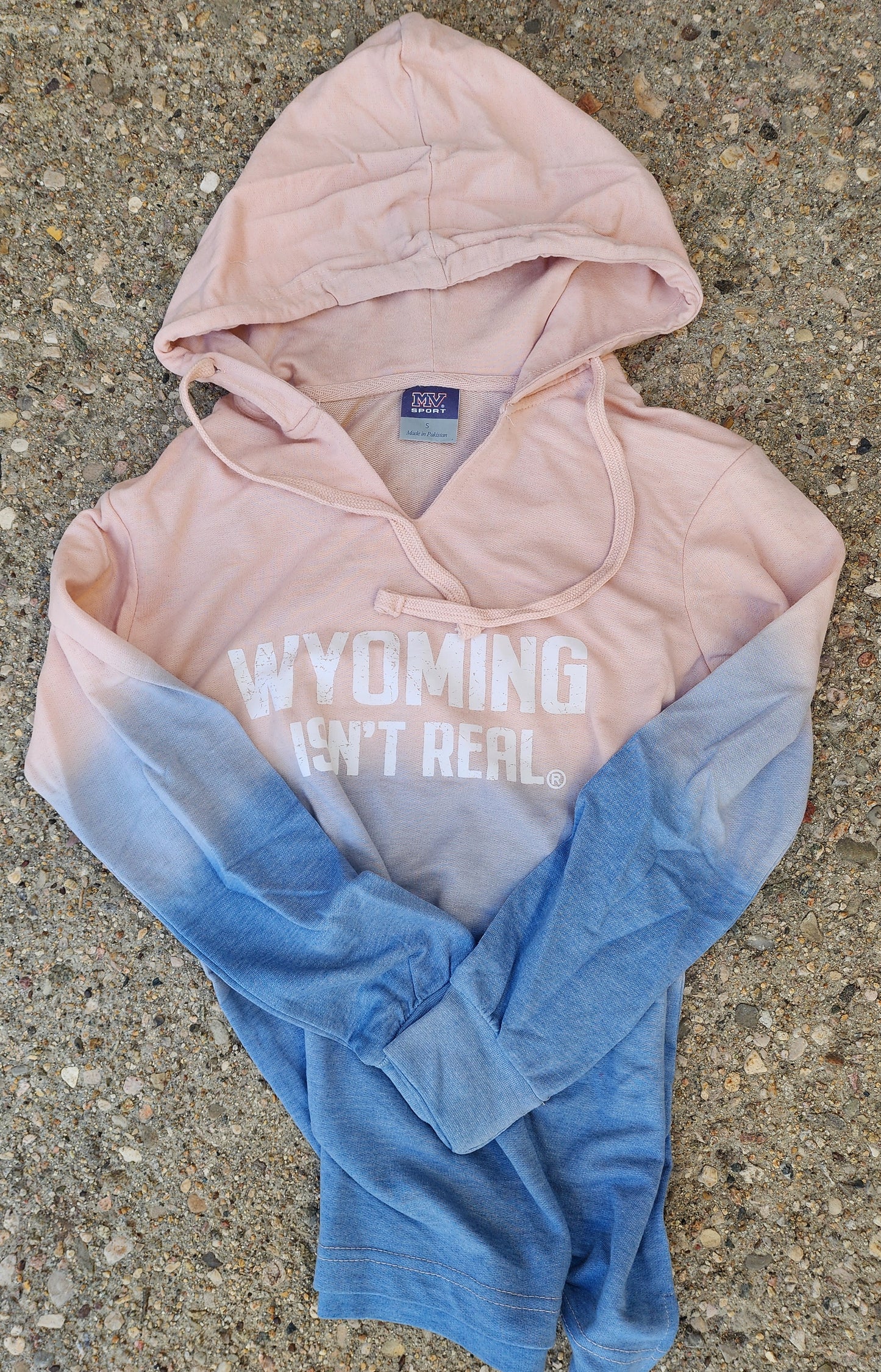 Hooded Sweatshirt-Women's Pink/Blue Ombre