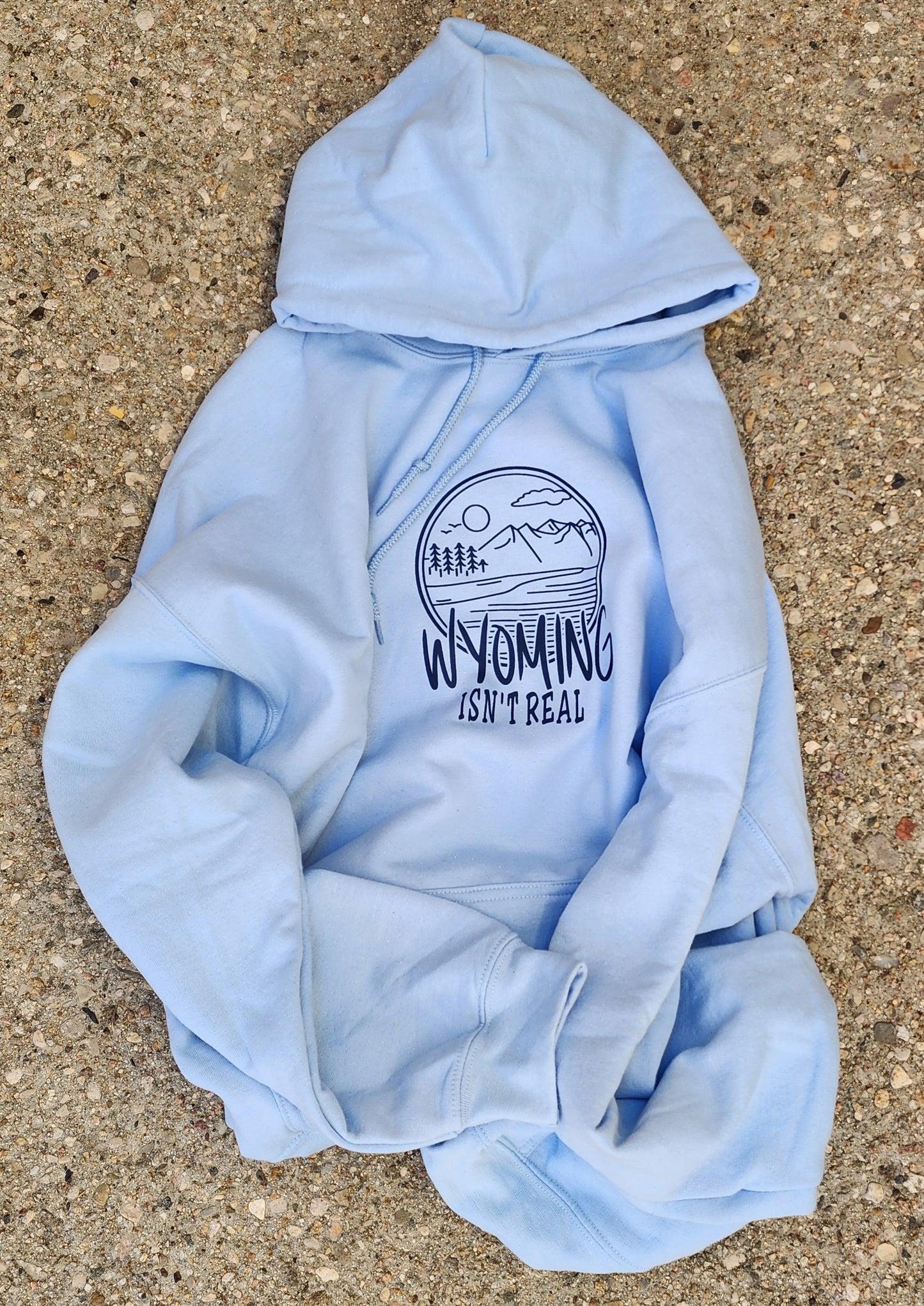 Hooded Sweatshirt-Light Blue